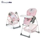 خرید آنلاین و حضوری صندلی غذاخوری کودک هاوک مدل Sit N Relax Birdie | سیسمونی ارمغان کیدز
