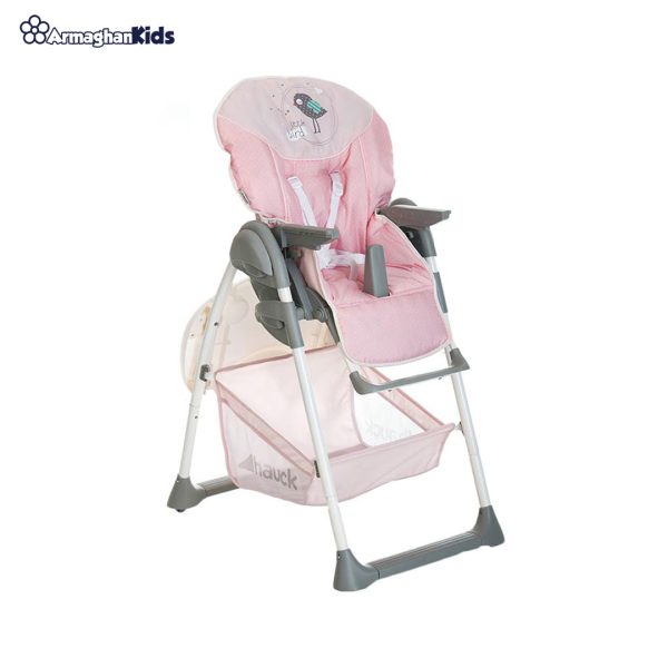 خرید آنلاین و حضوری صندلی غذاخوری کودک هاوک مدل Sit N Relax Birdie | سیسمونی ارمغان کیدز