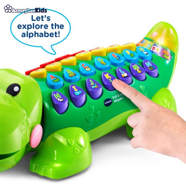 خرید آنلاین و حضوری اسباب بازی تمساح موزیکال وی تک | سیسمونی ارمغان کیدز