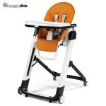 خرید حضوری و آنلاین صندلی غذای کودک پگ پرگو مدل Peg-Perego Siesta Follow Me در فروشگاه سیسمونی ارمغان