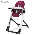خرید حضوری و آنلاین صندلی غذای کودک پگ پرگو مدل Peg-Perego Siesta Follow Me در فروشگاه سیسمونی ارمغان