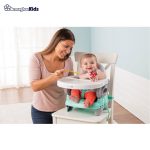 خرید آنلاین و حضوری صندلی غذاخوری کودک پرتابل سامر | سیسمونی ارمغان کیدز