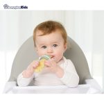 خرید حضوری و آنلاین پستانک غذاخوری کیدزمی مدل Food Squeezer Plus در فروشگاه سیسمونی ارمغان
