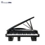 خرید آنلاین و حضوری پیانو کودک وین فان مدل Symphonic grand piano set در فروشگاه سیسمونی ارمغان