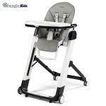 خرید حضوری و آنلاین صندلی غذای کودک پگ پرگو مدل Peg-Perego Siesta Follow Me در فروشگاه سیسمونی ارمغان