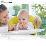 خرید حضوری و آنلاین عصاره خوری کیدزمی مدل Food Feeder Plus در فروشگاه سیسمونی ارمغان