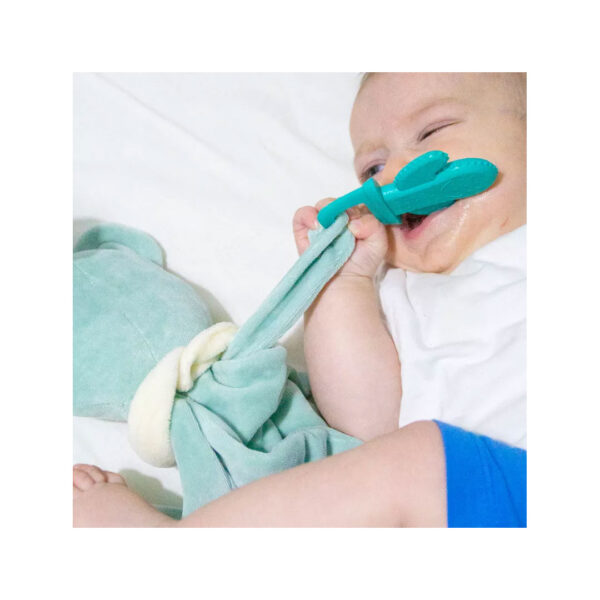 قیمت و خرید دندانگیر خرس عروسکی بیبی جم در فروشگاه سیسمونی, پوشاک و اسباب بازی کودک و نوزاد ارمغان کیدز