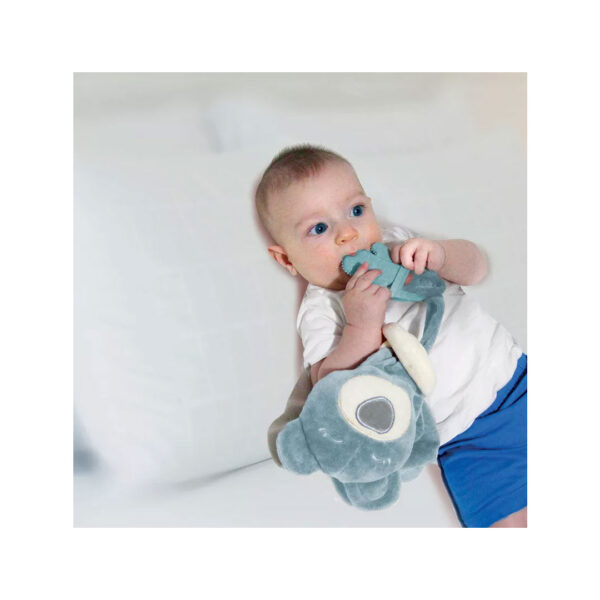 قیمت و خرید دندانگیر خرس عروسکی بیبی جم در فروشگاه سیسمونی, پوشاک و اسباب بازی کودک و نوزاد ارمغان کیدز