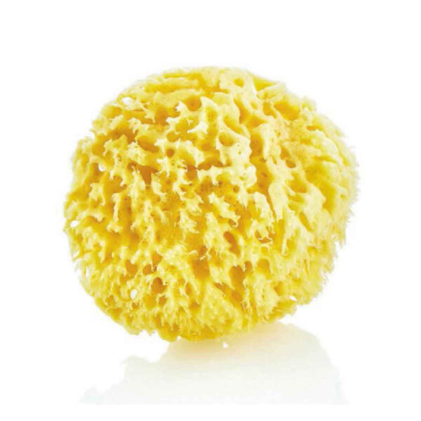 babyjem-natural-sea-sponge-01 قیمت و خرید لیف اسفنجی دریایی حمام کودک بیبی جم | babyjem در فروشگاه سیسمونی, پوشاک و اسباب بازی کودک و نوزاد ارمغان کیدز