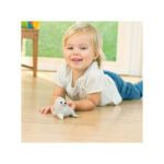 فک فوک تولو