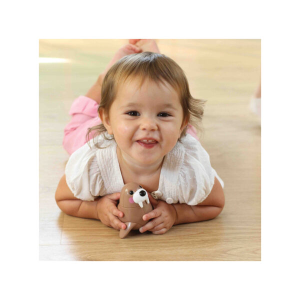 گراز دریایی تولو