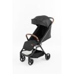 قیمت و خرید کالسکه مسافرتی MONTE مدل K2 در فروشگاه سیسمونی ارمغان کیدز ( ارمغان کودک پارک ملت )