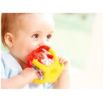 قیمت و خرید جغجغه دستگیره دار تولو | 86280 Tolo Gripper Rattle در فروشگاه سیسمونی ارمغان کیدز ( ارمغان کودک پارک ملت )