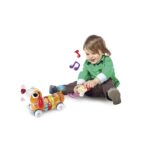 قیمت و خرید اسباب بازی سگ کنترلی موزیکال وین فان | Winfun No. 001142 در فروشگاه سیسمونی ارمغان کیدز ( ارمغان کودک پارک ملت )