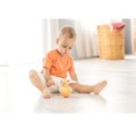 قیمت و خرید رولی خرس کادوئی تولو | 80051 TOLO در فروشگاه سیسمونی ارمغان کیدز ( ارمغان کودک پارک ملت )